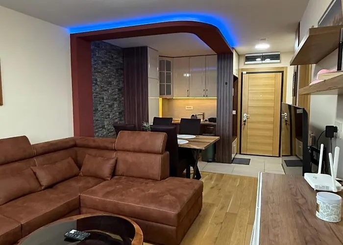 Vinik Daire Zlatibor